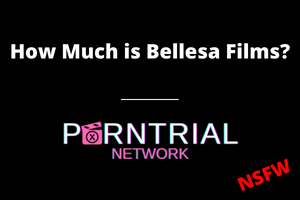 How Much is Bellesa Films?