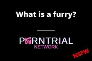 What is a furry?