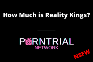How Much is Reality Kings? - Porn Trial Network