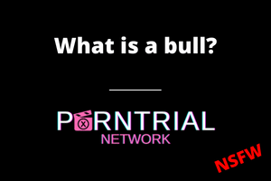 What is a bull? - Cuckold FAQ - Porn Trial Network