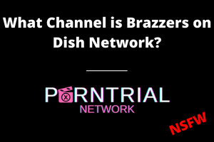 Xx5xxx Com - What Channel is Brazzers on Dish Network - Porn Trial Network